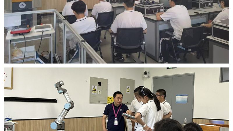 称重仪表：揭秘不同品牌间的差异与选择要点